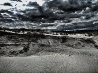 photo/29bd08f7-76f3-462e-9dd0-252fefea186f-3